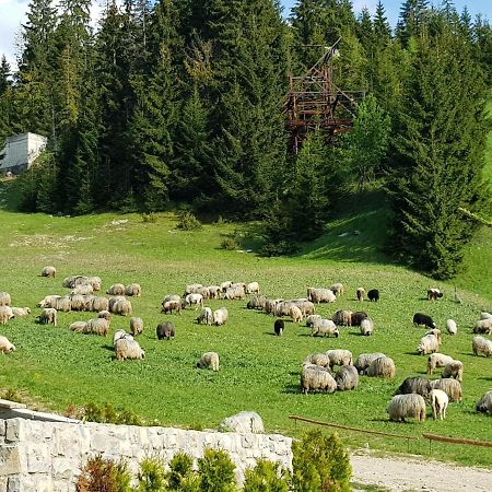 Enjoy The Silence Holiday Home Vlašić Exterior foto