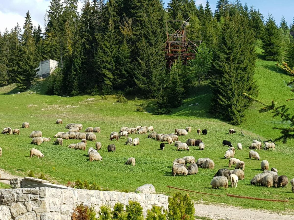 Enjoy The Silence Holiday Home Vlašić Exterior foto